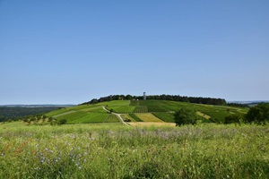 stahlberg